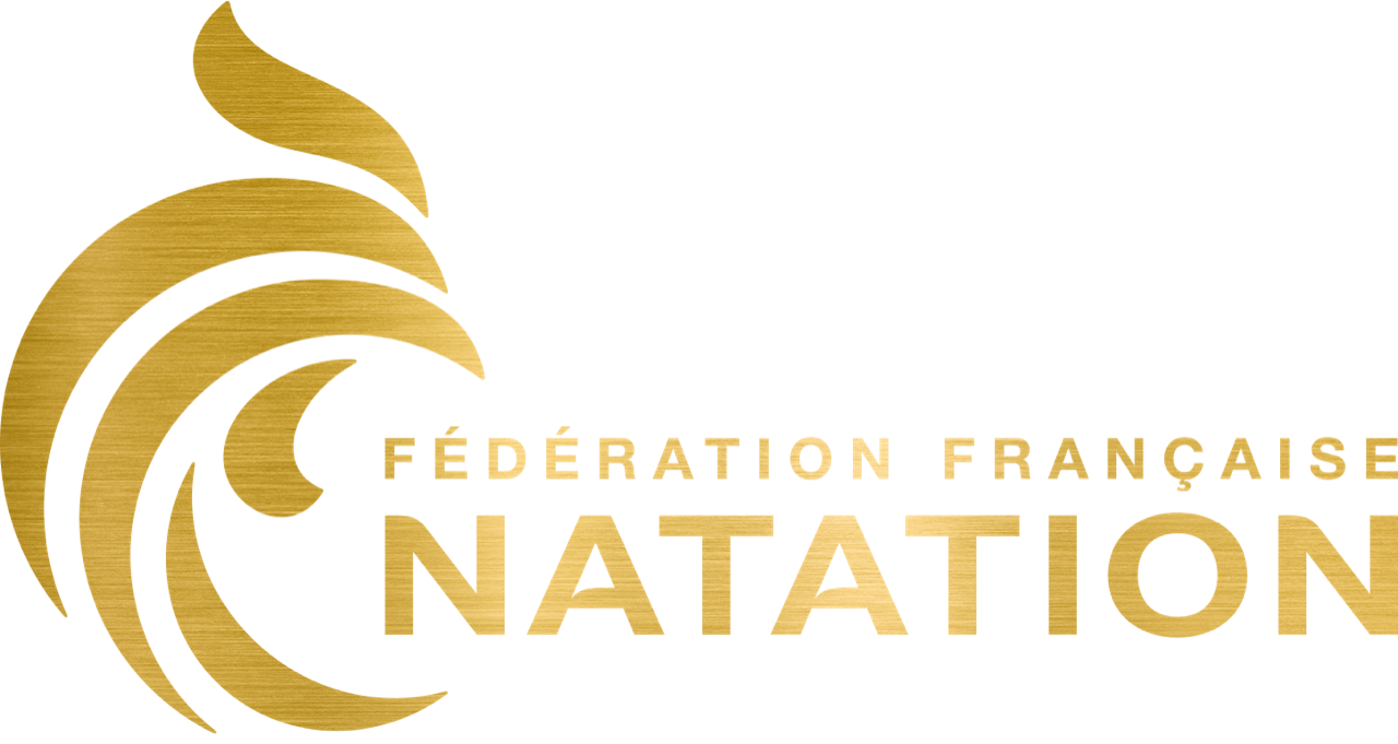Grand Badge Dauphin école De Natation – Insigne Vintage France, Motif Sport, émail