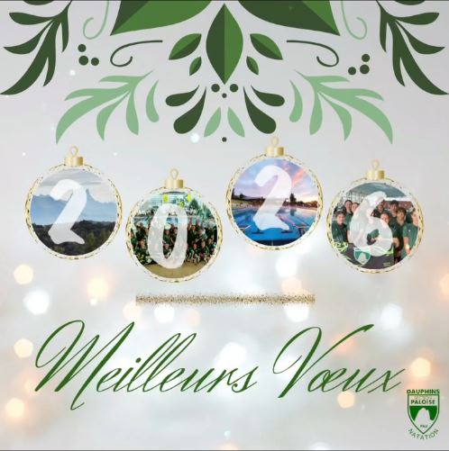 MEILLEURS VOEUX 2026 !